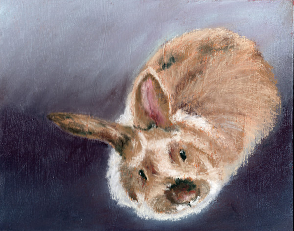 Sister Bunny by Jane D. Steelman, Image 1.