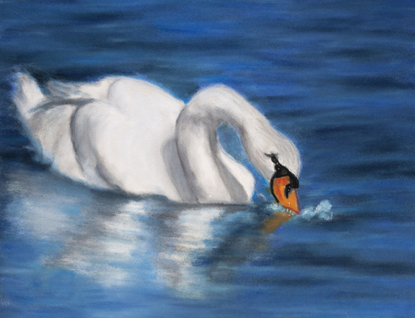 The Swan by Jane D. Steelman