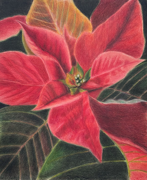 Turning Poinsettia by Jane D. Steelman