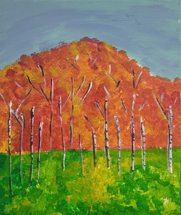 Birch Trees by Krystina V
