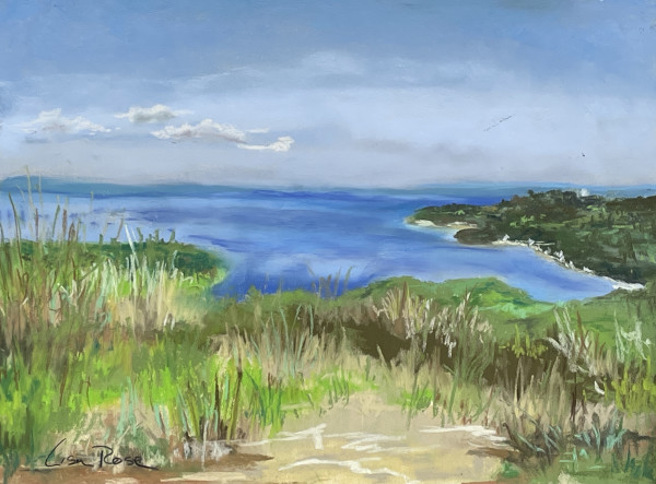 View from Montauk Recycling Center by Lisa Rose Fine Art