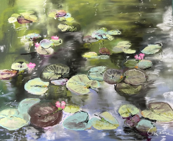 Water Lilies by Lisa Rose Fine Art