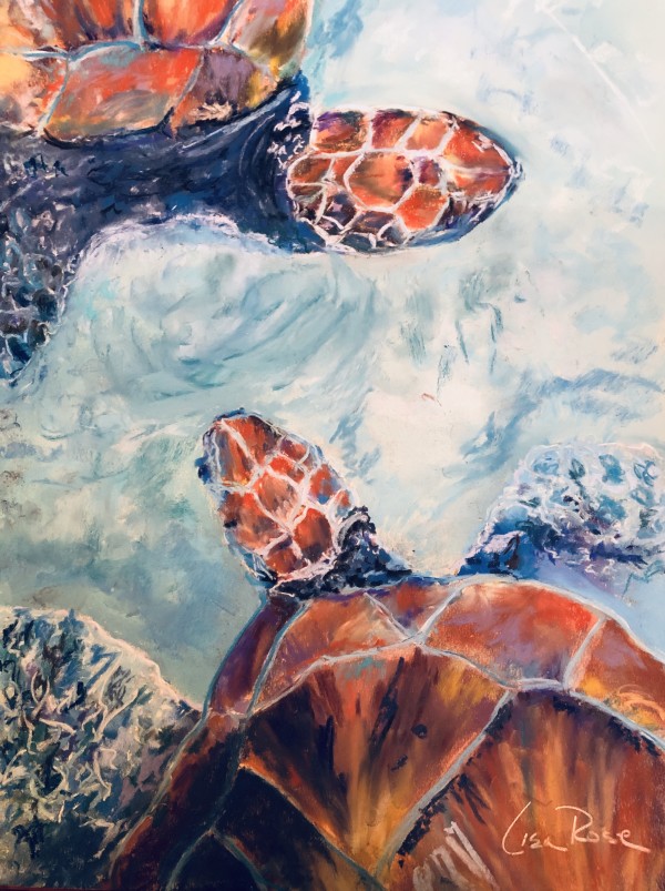 Turtle Rendevous by Lisa Rose Fine Art