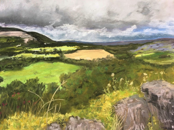 Donegal Fields by Lisa Rose Fine Art