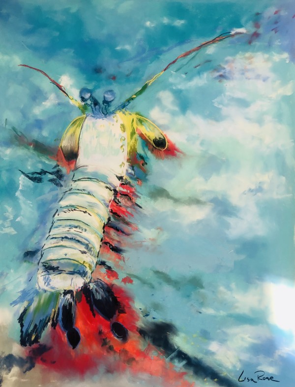 Mantis Shrimp by Lisa Rose Fine Art