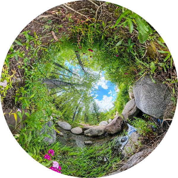 Sanctuary Reflection #3 by Syd Moen