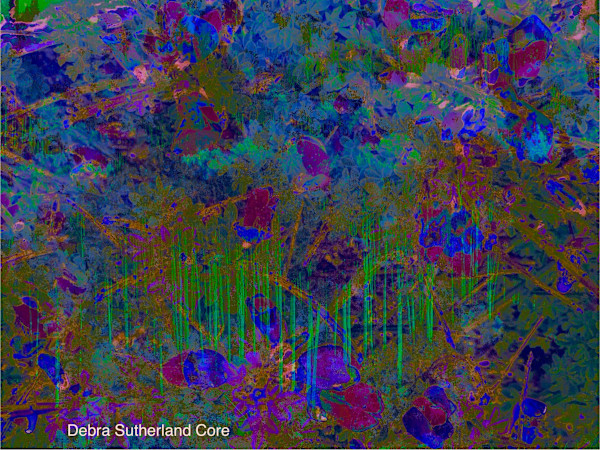 Illuminated Trees by Debra Sutherland Core  Fine Art