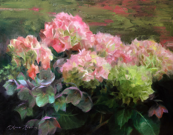 Hydrangeas and Hellebores by Anna Rose Bain