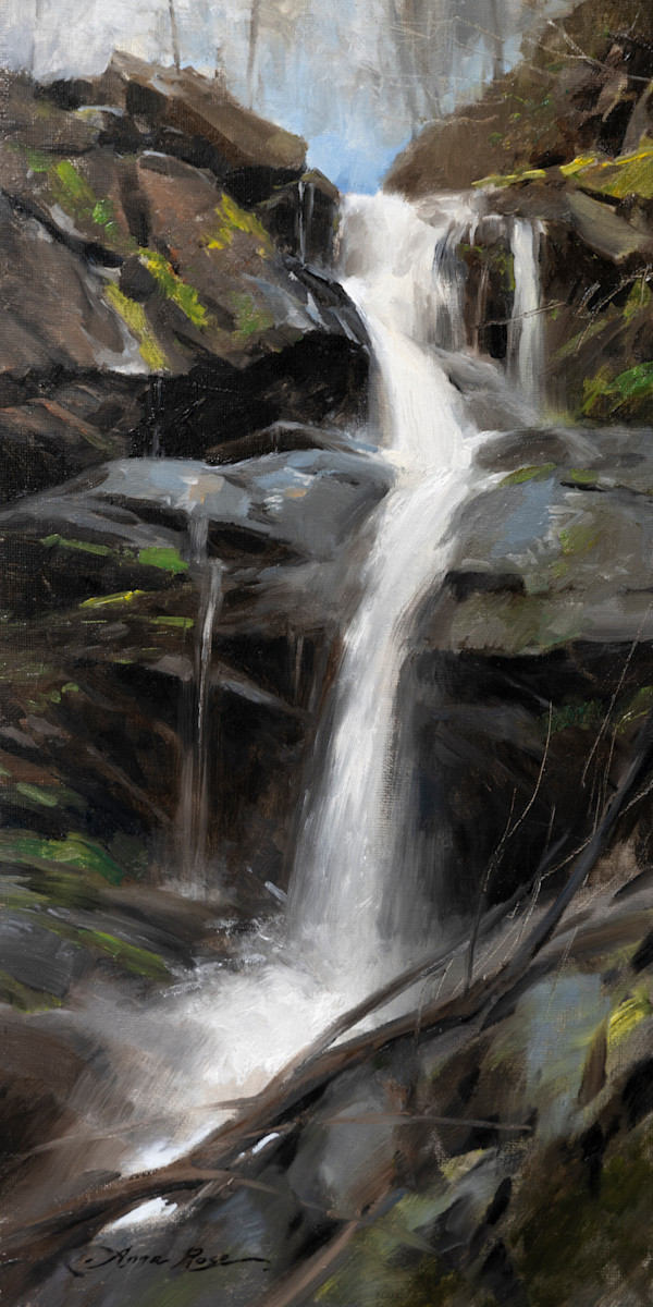 Lower Doyles River Falls by Anna Rose Bain