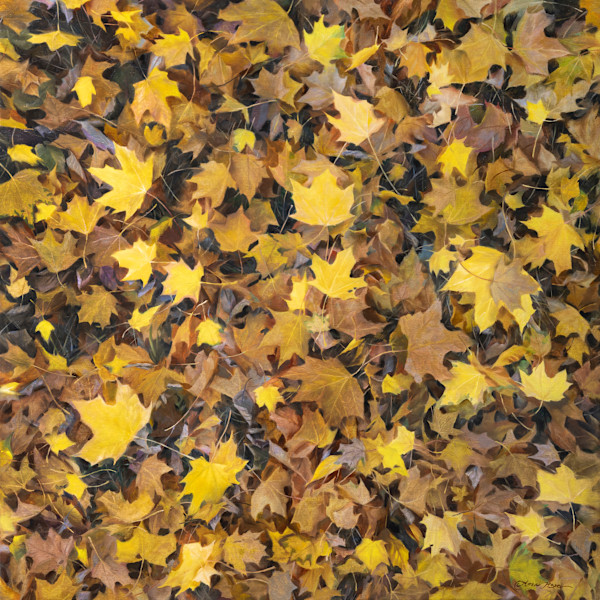 Meditation in Gold by Anna Rose Bain