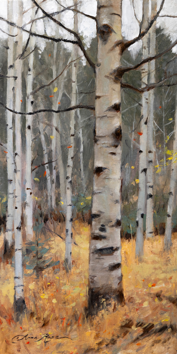 Bare Aspens, Late Fall by Anna Rose Bain