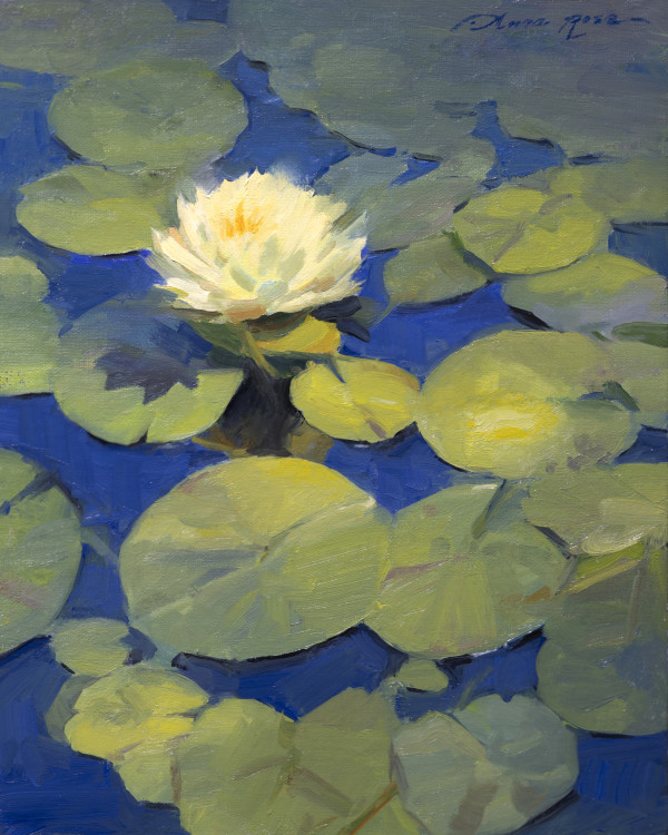 Sunlit Water Lilies by Anna Rose Bain