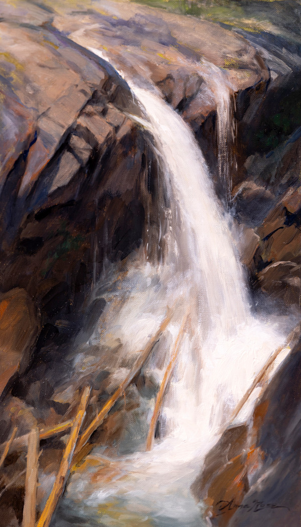 The Falls at Lost Lake Trail by Anna Rose Bain