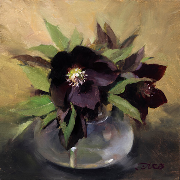 To Brighten a Winter's Day (January Hellebores) by Anna Rose Bain