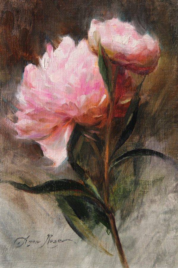 Pink Peonies by Anna Rose Bain