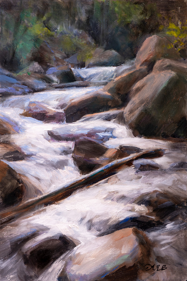 The June Snowmelt by Anna Rose Bain