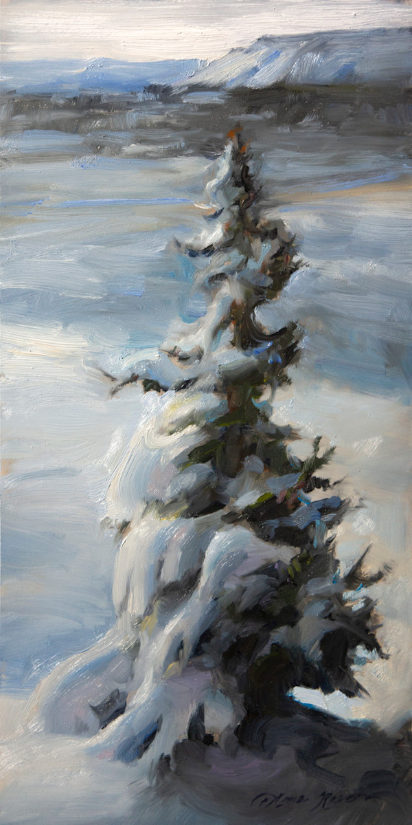 Snow Laden Tree Study by Anna Rose Bain