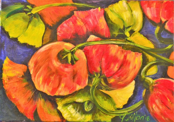 Orange Poppy by Karien Dutton