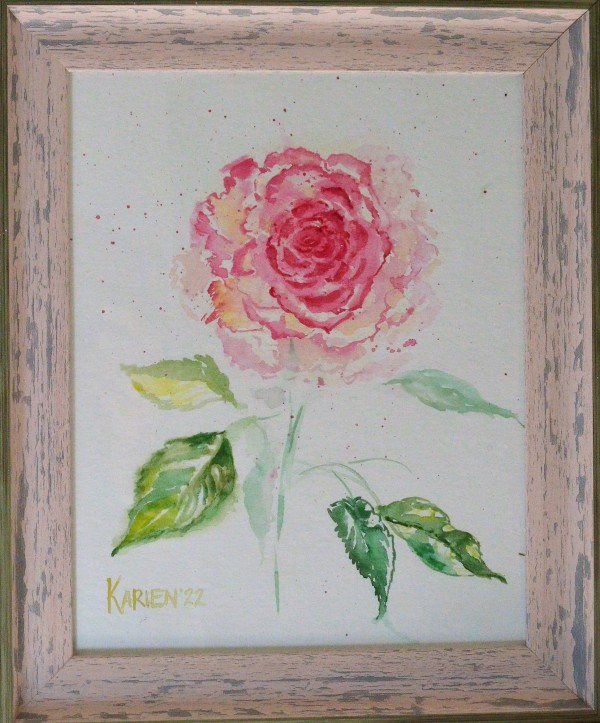 Soft Rose by Karien Dutton