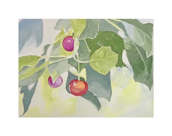 Cherries! by Carol Rowan