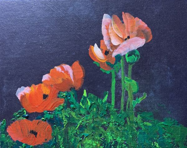 Poppies by Deborah A. Berlin