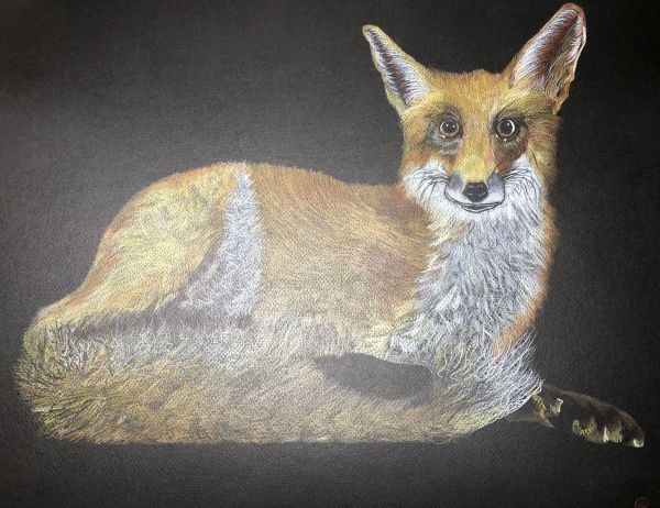 Red Fox by Deborah A. Berlin
