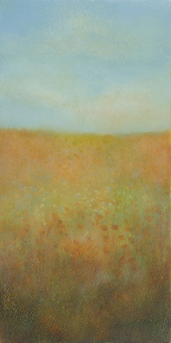 Orange Flower Fields by Jenny Wilson 