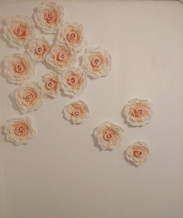 Bloom by Sam Fields