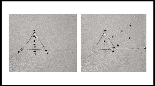 Snail Drawing: Eel Grass Triangle by Daniel Ranalli