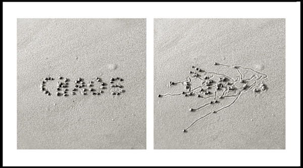 Snail Drawing: Chaos Theory #2 by Daniel Ranalli