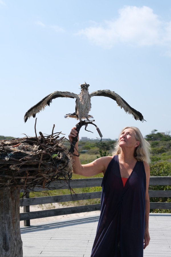 What's Inside the Osprey Nest? by Cindy Pease Roe