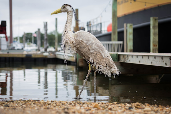 Heron
