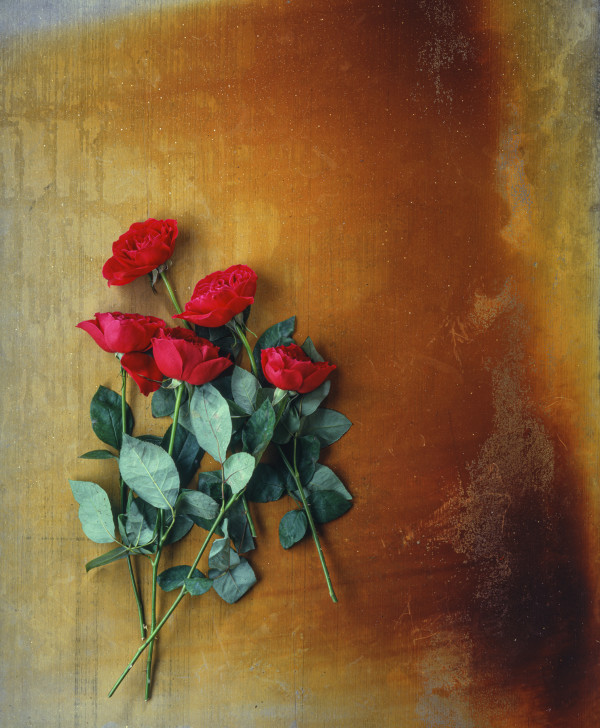 Still Life: Roses 1 by Bernard C. Meyers