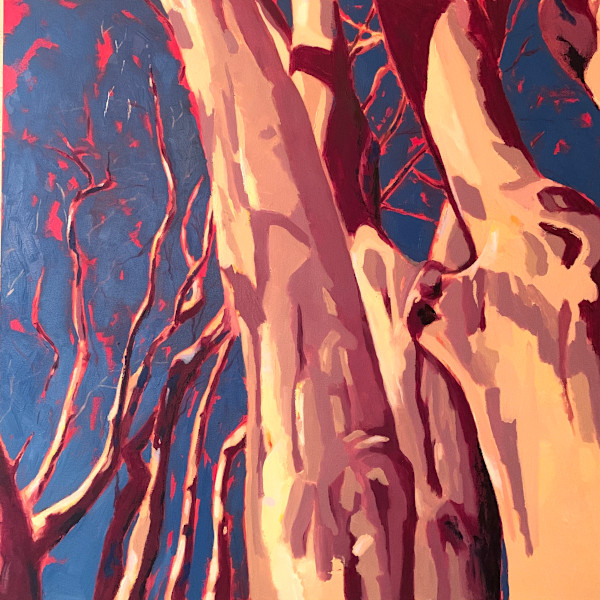 Crape Myrtles at the Nasher