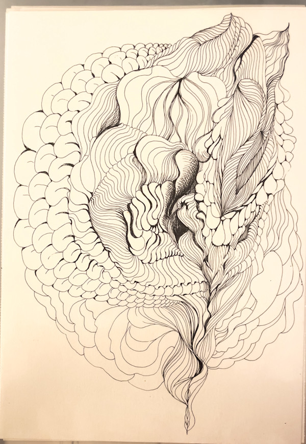 Fancy this by Daniela Matchael