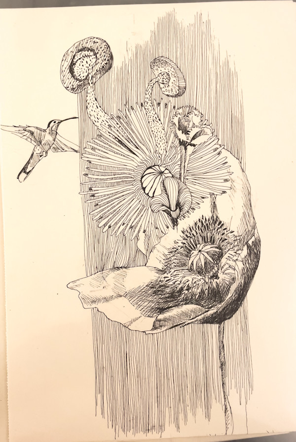 Naturally by Daniela Matchael