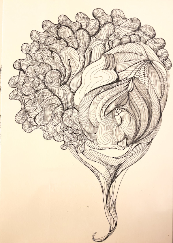 Profile of my best petals by Daniela Matchael