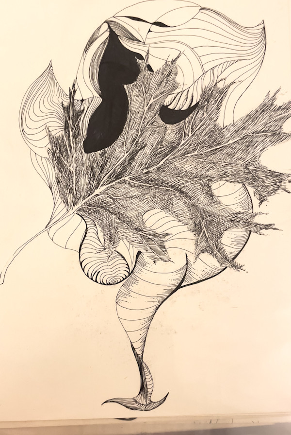 In the fall I almost fall by Daniela Matchael