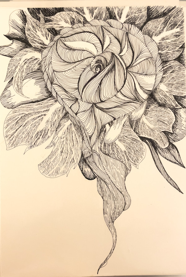 Petals that surround you by Daniela Matchael