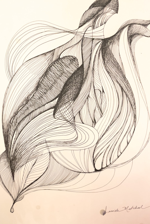lines by Daniela Matchael