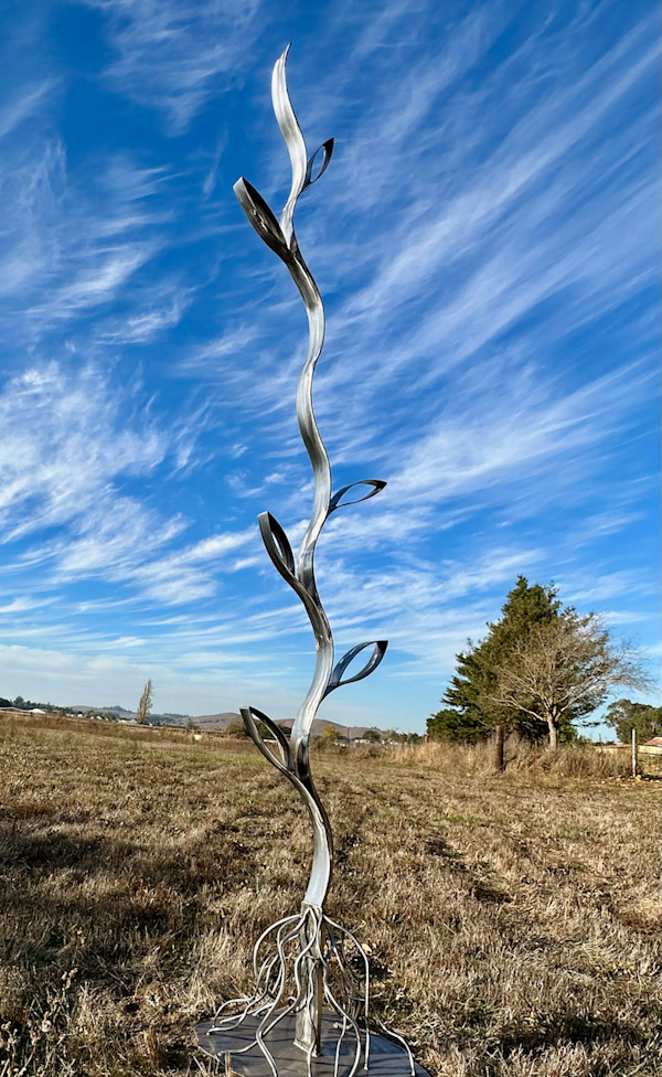 From Roots To The Sky Installation by Marguerite Elliot