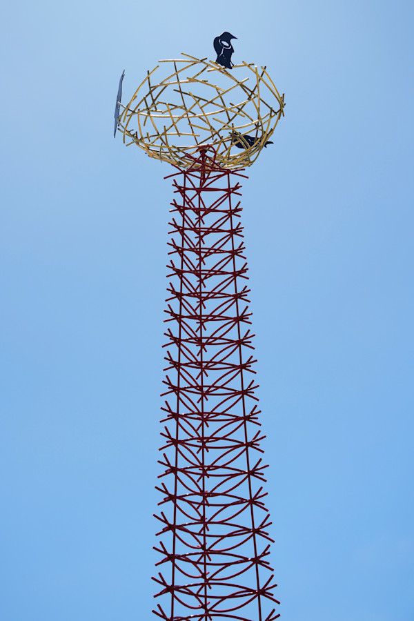 Where Have All the Birds Gone? by Marguerite Elliot