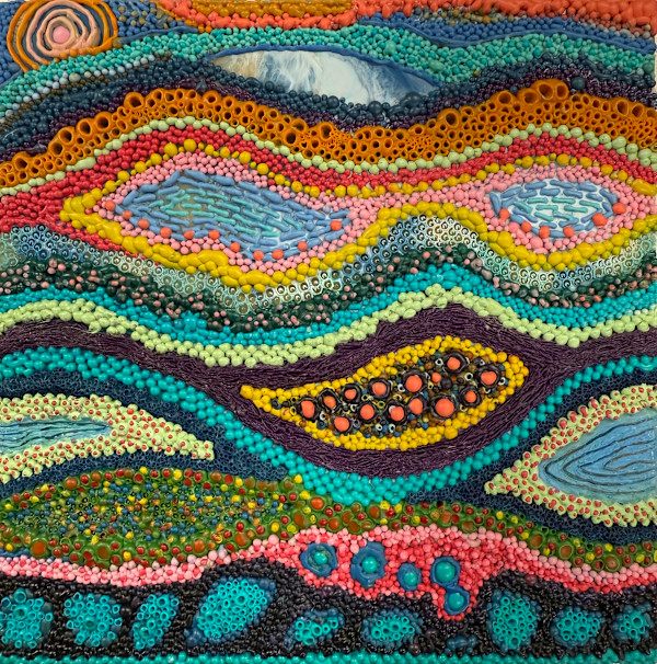 Dream Fossils by Rebecca Stahr