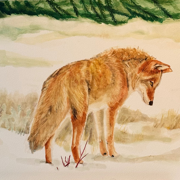 Listening Closely by Judy Steffens