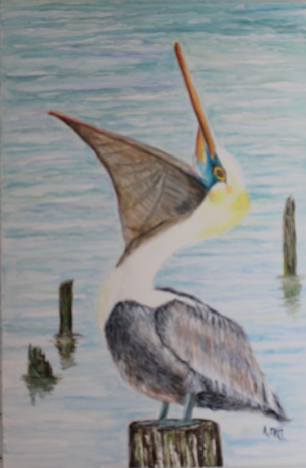Pelican by Anne Matt