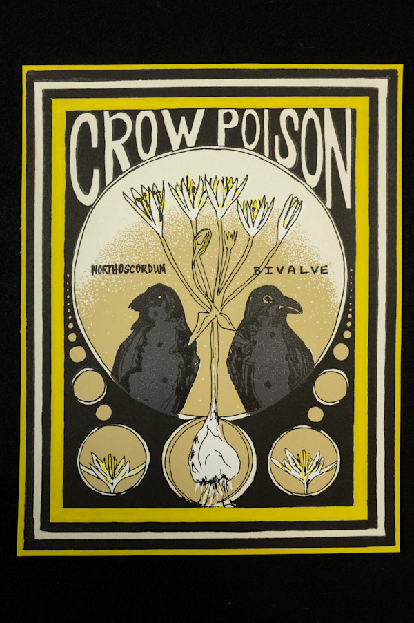 Crow Poison by Susan David