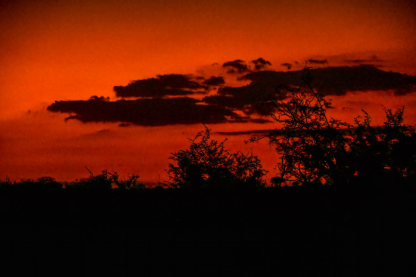 Savannah Sunset by Jay Culotta