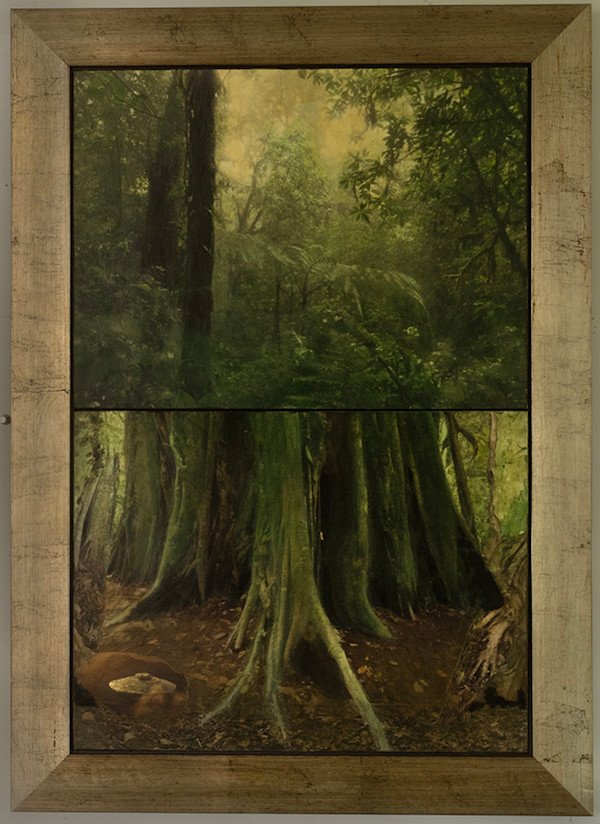 Emerald by Lynda Frese