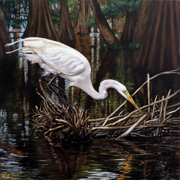 Great White Egret fishing by Herb Roe