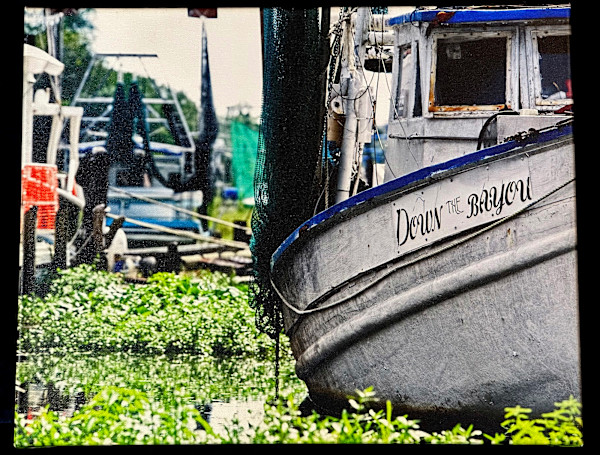 Down The Bayou by Kerry Griechen